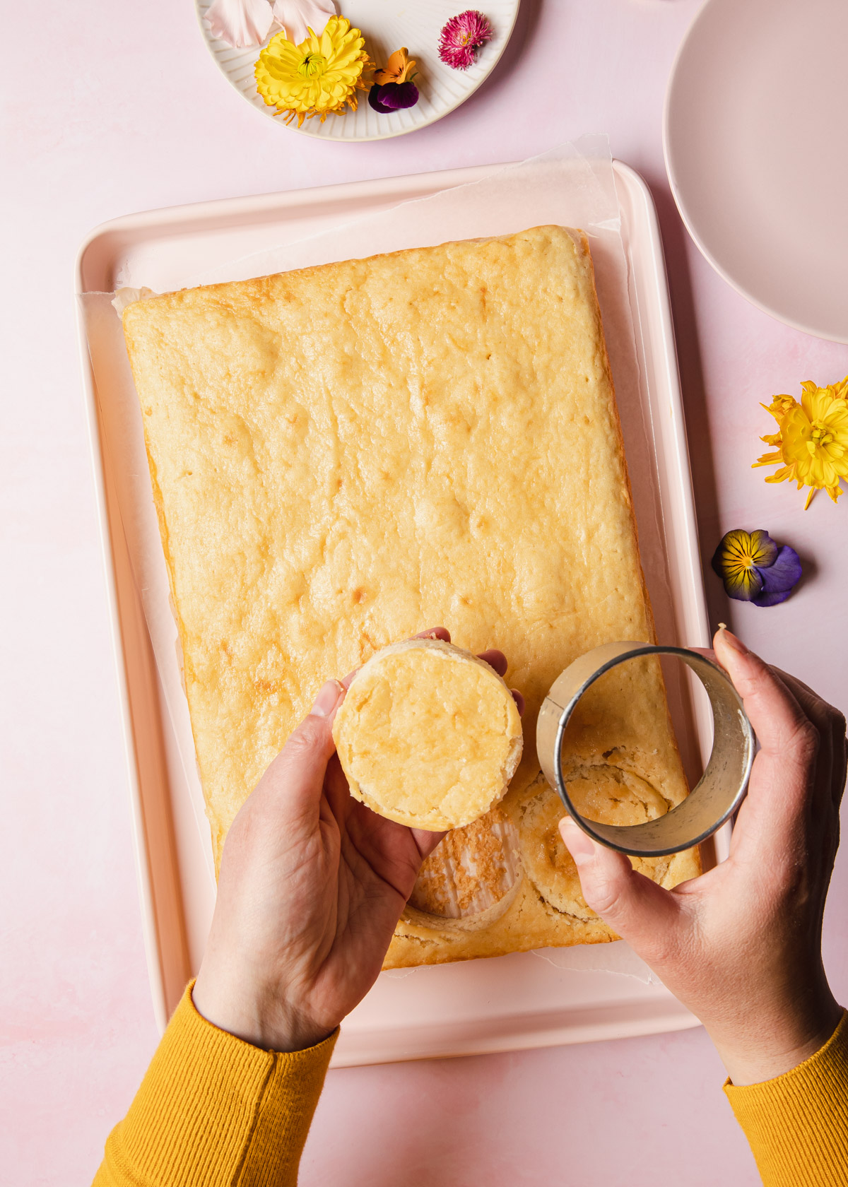 Cutting out min cake layers from a sheet cake