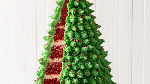 Christmas Tree Stencil | Christmas Cake Stencils |