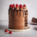 Chocolate brownie cake with Nutella frosting, raspberries, and chocolate drip