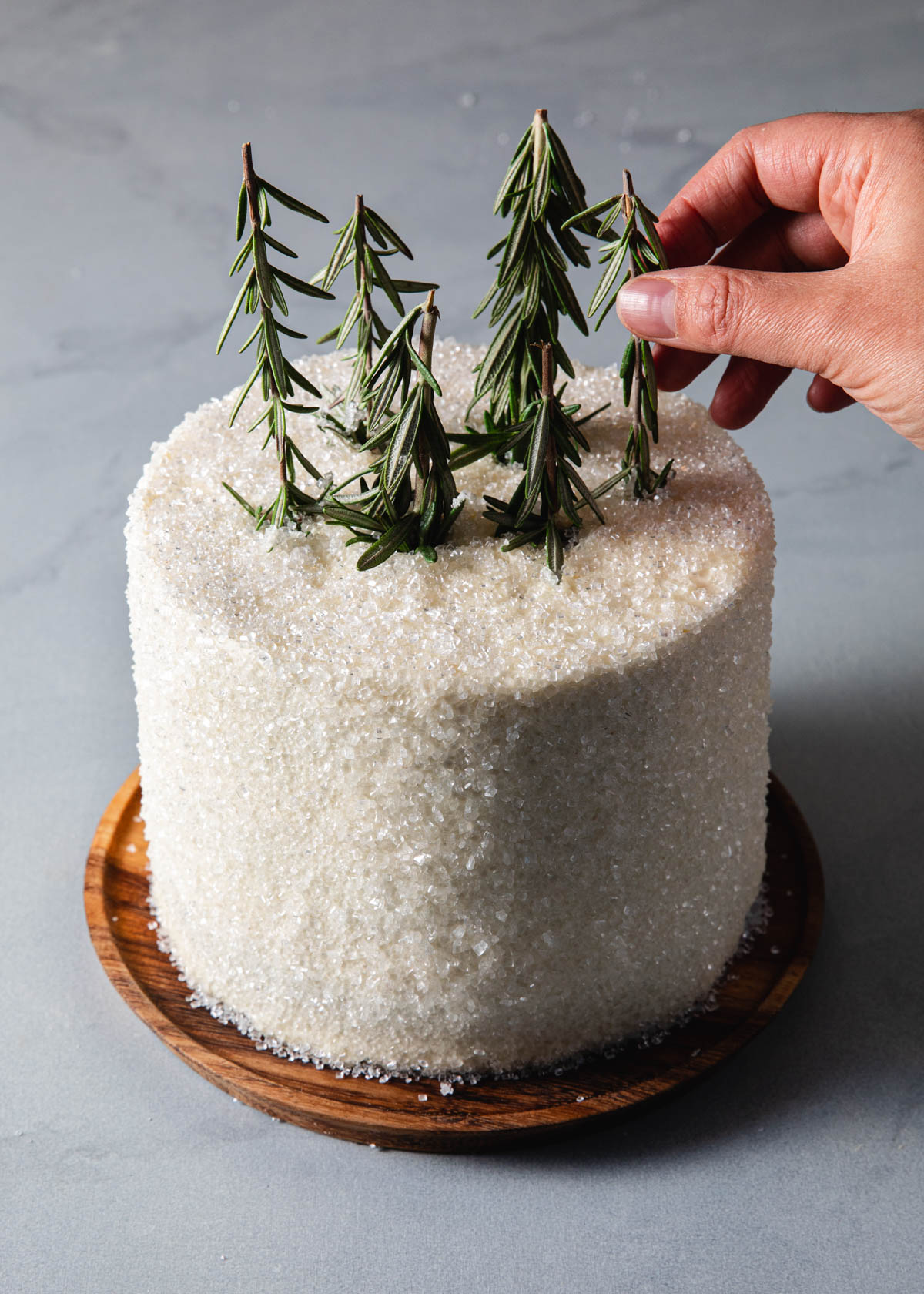 Placing rosemary tress on top of a chocolate peppermint cake