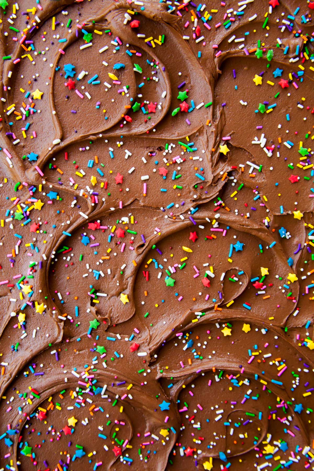 A close-up of fudge frosting with rainbow sprinkles on top