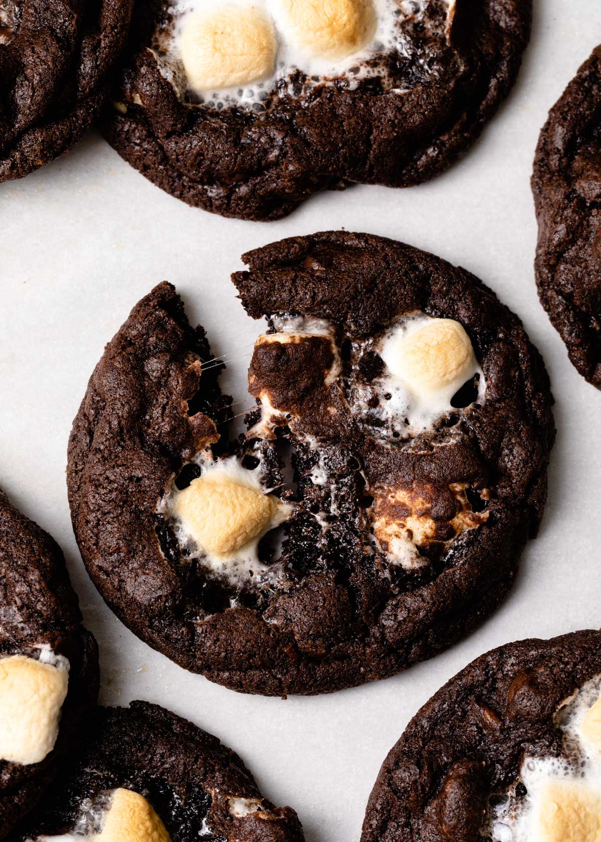 a close-up of a double chocolate chip cookies with mini marshmallows and pecans