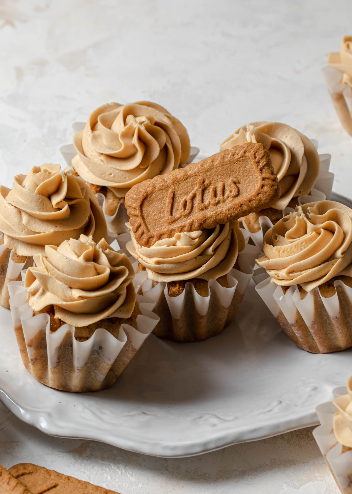 Biscoff cupcakes on a plate with cookie butter frosting and a speculoos lotus cookie on top