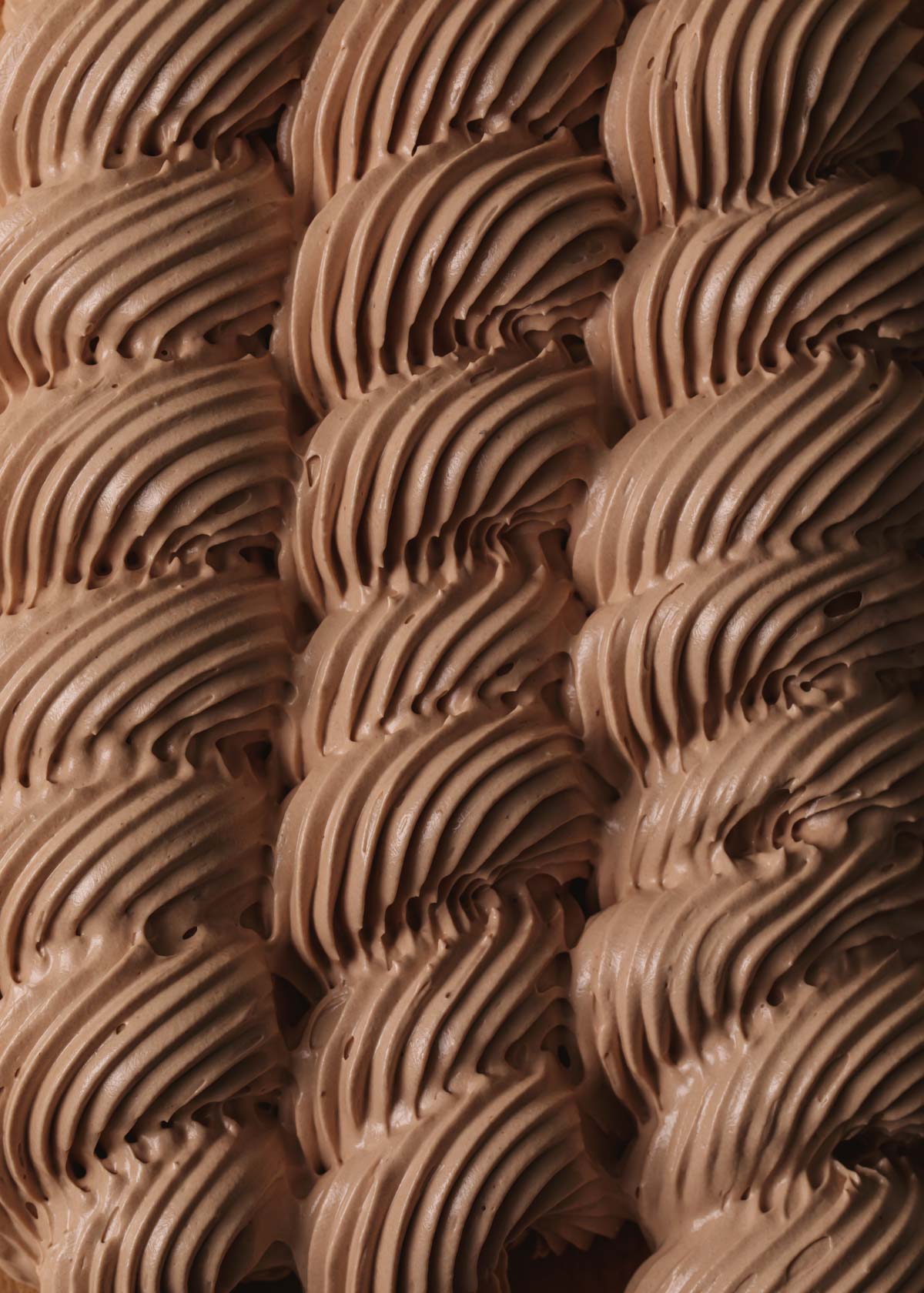 Spirals of piped chocolate Swiss meringue buttercream